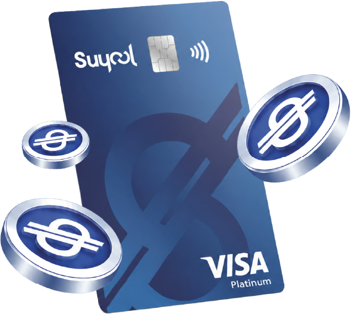visa coin